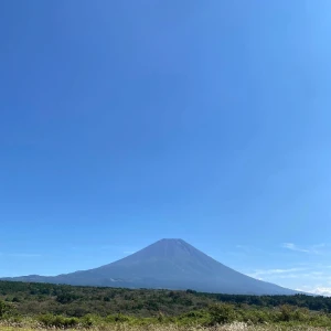 いつの間にやら梅雨入りしてました。。。の写真3枚目