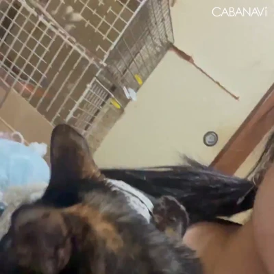 退勤してます🎀