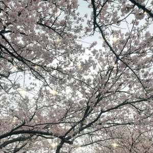 かなです😊の写真1枚目