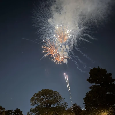 こんにちは、ゆりあです