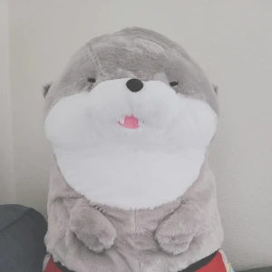 こんにちは☺️の写真1枚目