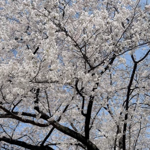 今週もあと少し.....の写真1枚目