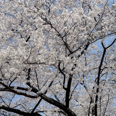 今週もあと少し.....