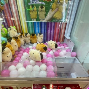 1.24 マーモット愛‪🐹♥️✨の写真1枚目