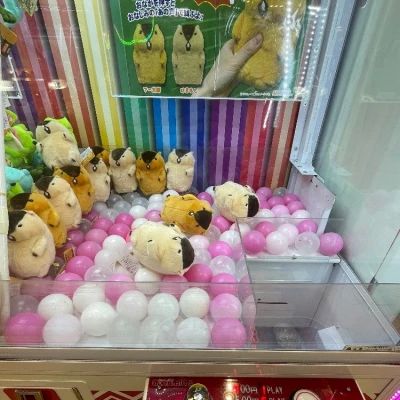 1.24 マーモット愛‪🐹♥️✨