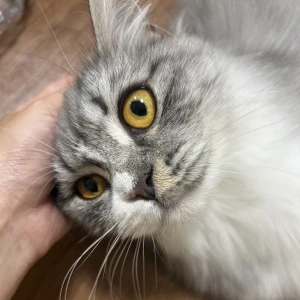 おはよう☀️の写真1枚目