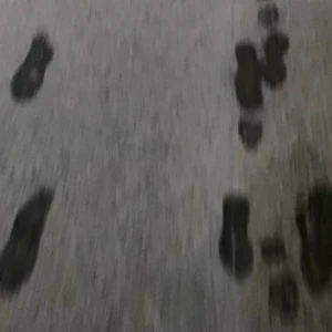 あずきです‼️こんばんは🫘の写真1枚目