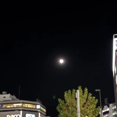 こんばんわん！みゆです🌕♡