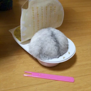 こんばんは✨の写真1枚目