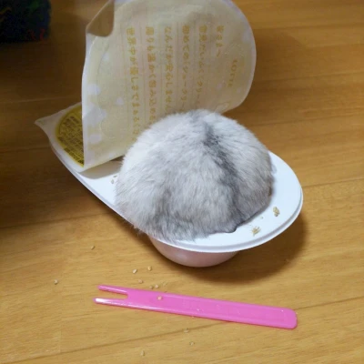 こんばんは✨