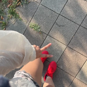 今日は20時からですっ🙋の写真2枚目
