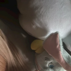 こんばんは🐻‍❄️の写真1枚目
