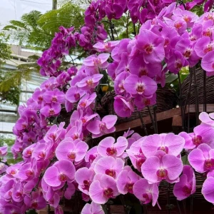 仕事だーーの写真1枚目