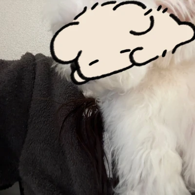 先日犬洗いをしました