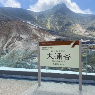 こんばんはあのです😸