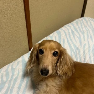 ねむぅううの写真1枚目