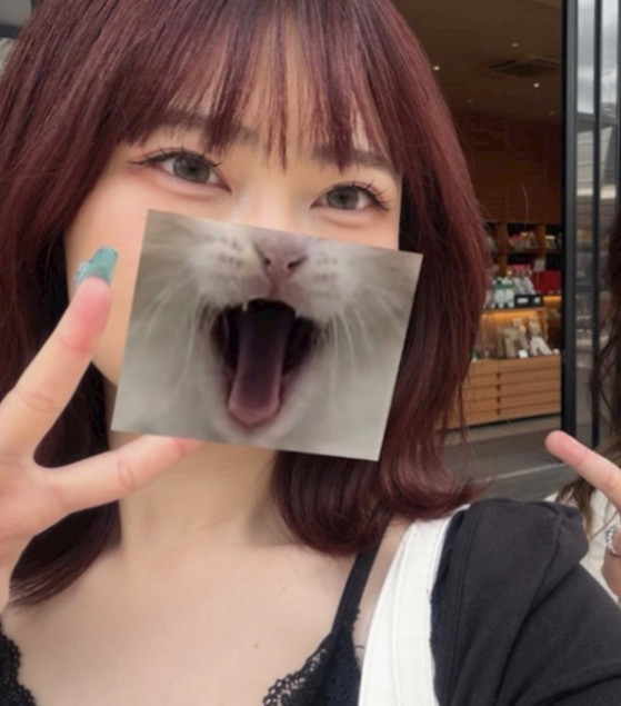 oCCLCbFSnNWOQAspWAthAQPrtislkgUnBo4gYEDI.jpg