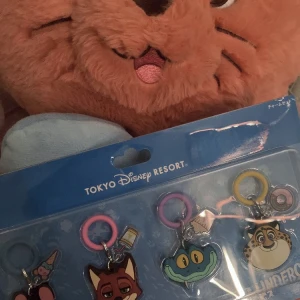 12/21の写真1枚目