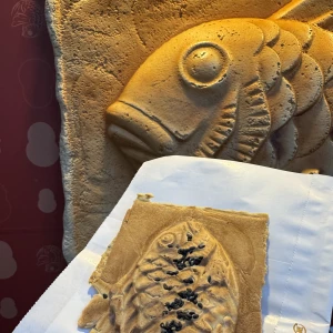 こんばんは✨の写真2枚目