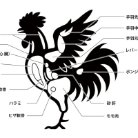 上野ハッピーギャングですの写真1枚目