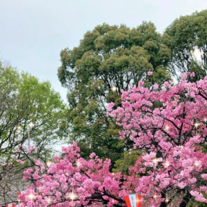 今日は雨降っててめっちゃ寒いしの写真1枚目