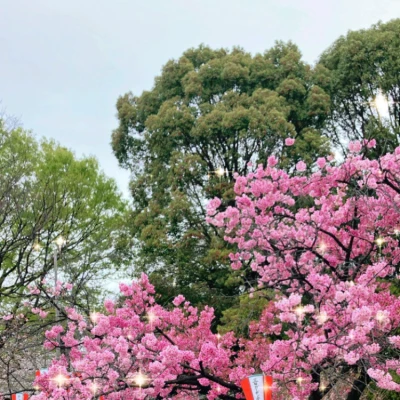 今日は雨降っててめっちゃ寒いし