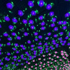 冬だ😀😀！の写真1枚目