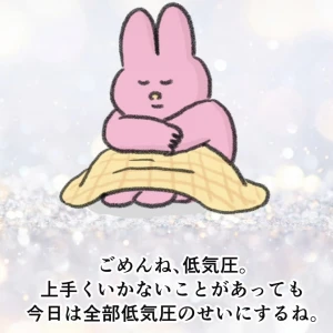 やほ！！の写真1枚目