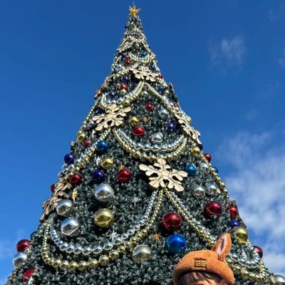 こんばんは🌟✨️あいです！