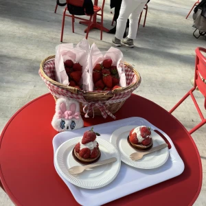 3月15日の写真1枚目