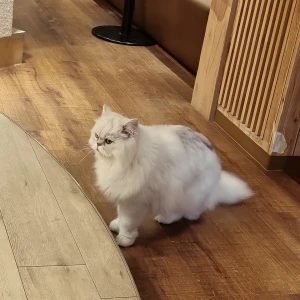 えりかだよー💜‪の写真2枚目