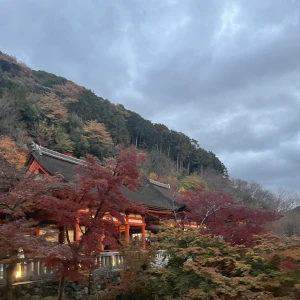 弾丸京都 ✈️♨️の写真1枚目