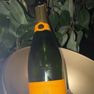 昨日は4人の方が遊びに来てくれました！！の写真3枚目