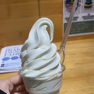 🍦🍦🍦🍦の写真1枚目