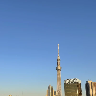 12月1日