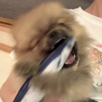 うらら