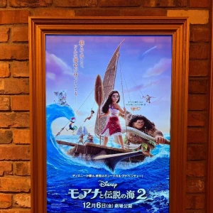 感動でした、、、😭❤️‍🔥❤️‍🔥🌊の写真1枚目