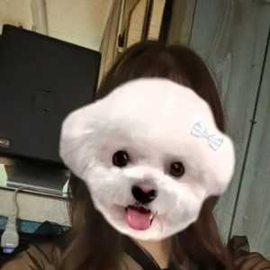 あけましておめでとうございます🎍の写真1枚目
