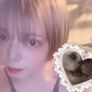 昨日からお世話になってます、の写真1枚目