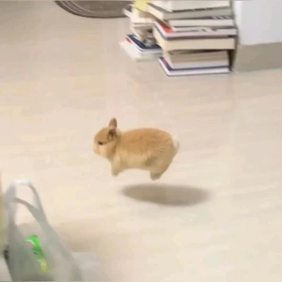 やすみでありんす