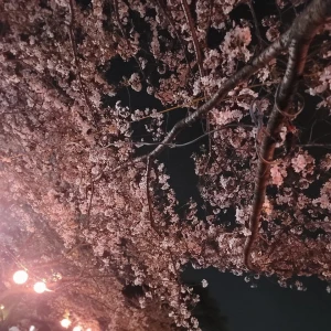 おはようございます☀️の写真2枚目