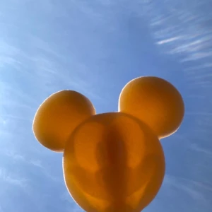 ディズニーランドの写真1枚目