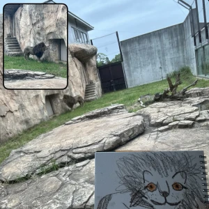 こんにちは⭐️の写真1枚目