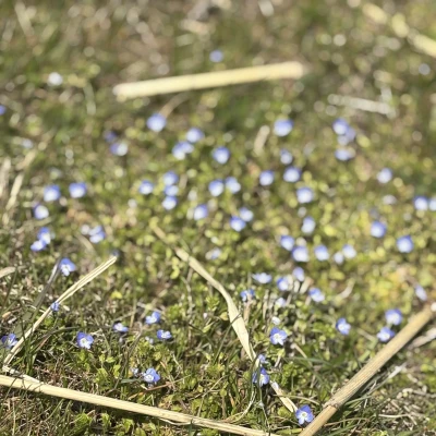 昨日はもうほんとに今年一くらいにしんどくてお休みしました(´｀;)