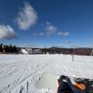 12/29の写真1枚目