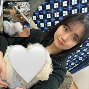 イッヌ🐶🐾の写真1枚目