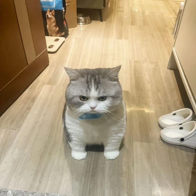 出勤しましたー！！！