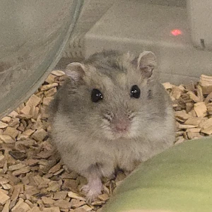 9時からいるよん😕の写真1枚目