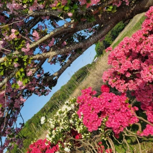 こんにちはー☺️の写真1枚目