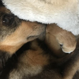 おはようございます☀☀の写真1枚目